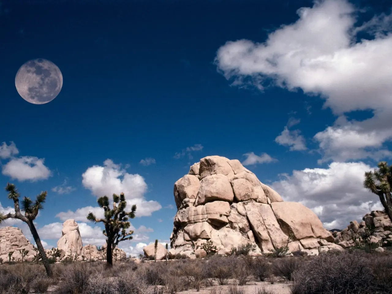 Desert Moon Under Blue Sky – blue and purple desktop wallpaper, 1600×1200