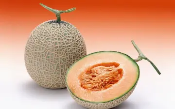 Fresh Japanese Melon wallpaper
