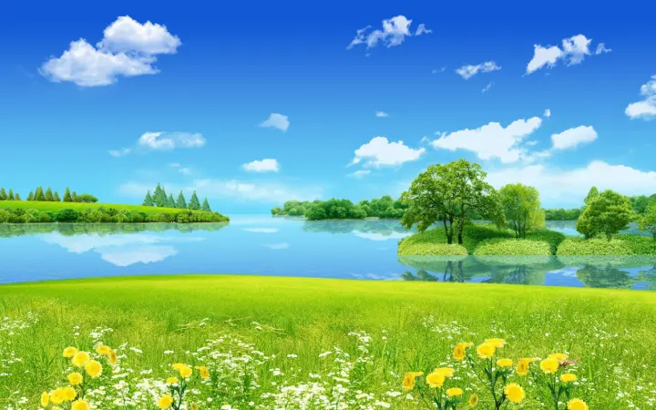 Spring Lake Meadow as a phone lock screen