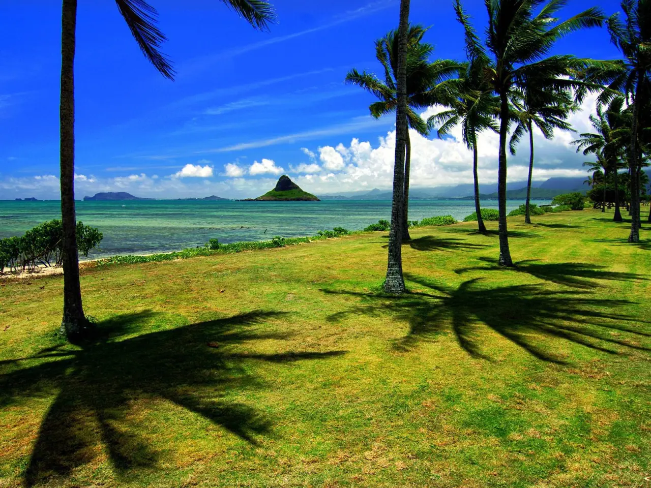 Tropical Island Coastline View – green and black desktop wallpaper, 1600×1200