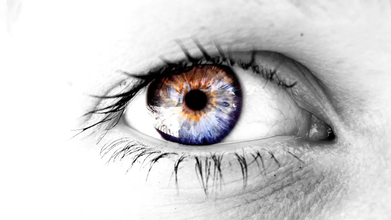 Reflection Within The Eye – white and grey desktop wallpaper, 1920×1080
