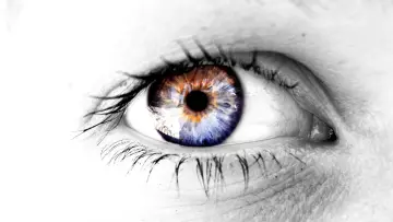 Reflection Within The Eye wallpaper