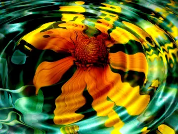 Sunburst Ripple Reflection wallpaper