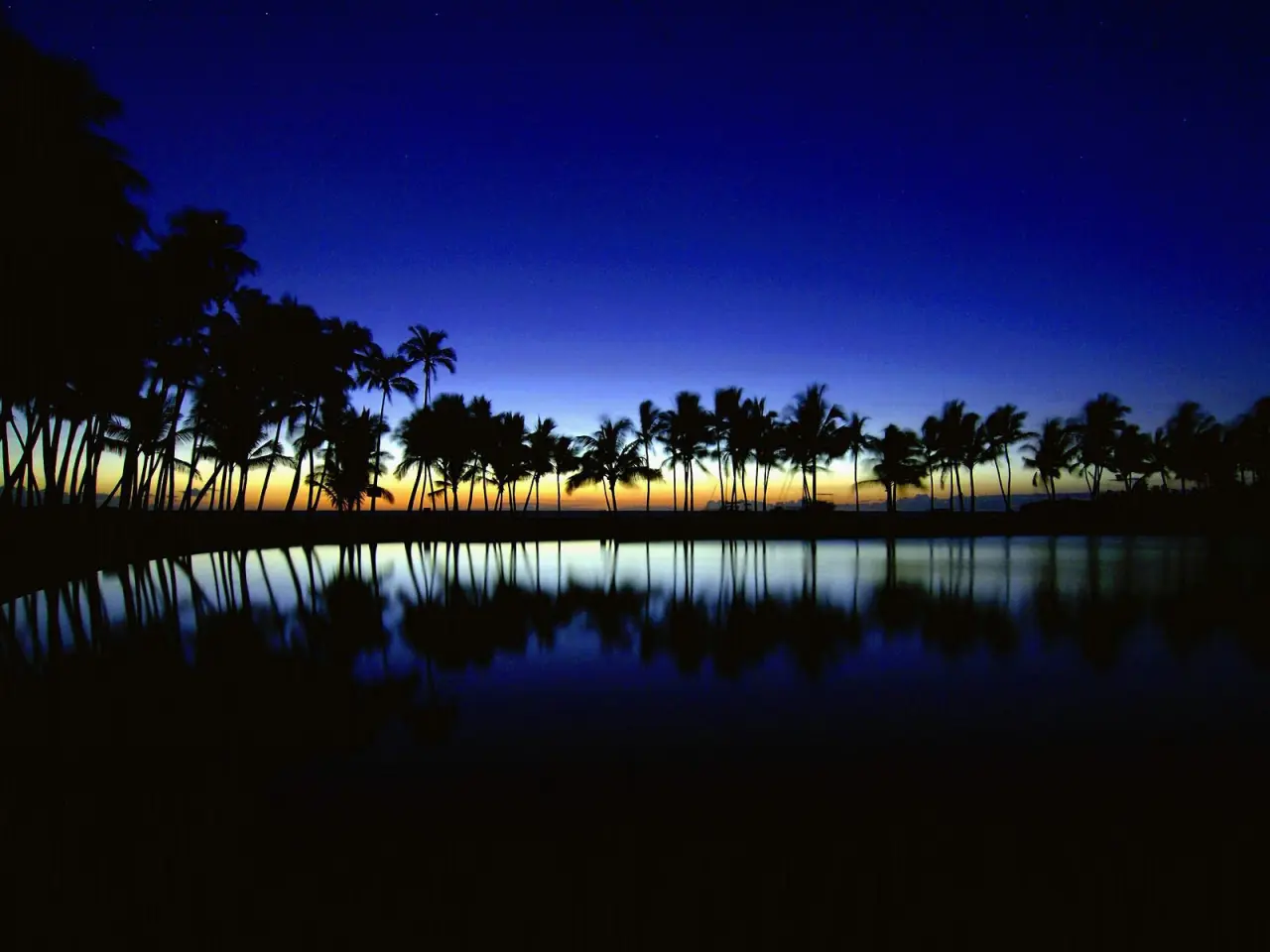 Midnight Palm Tree Reflection – black and purple desktop wallpaper, 1600×1200