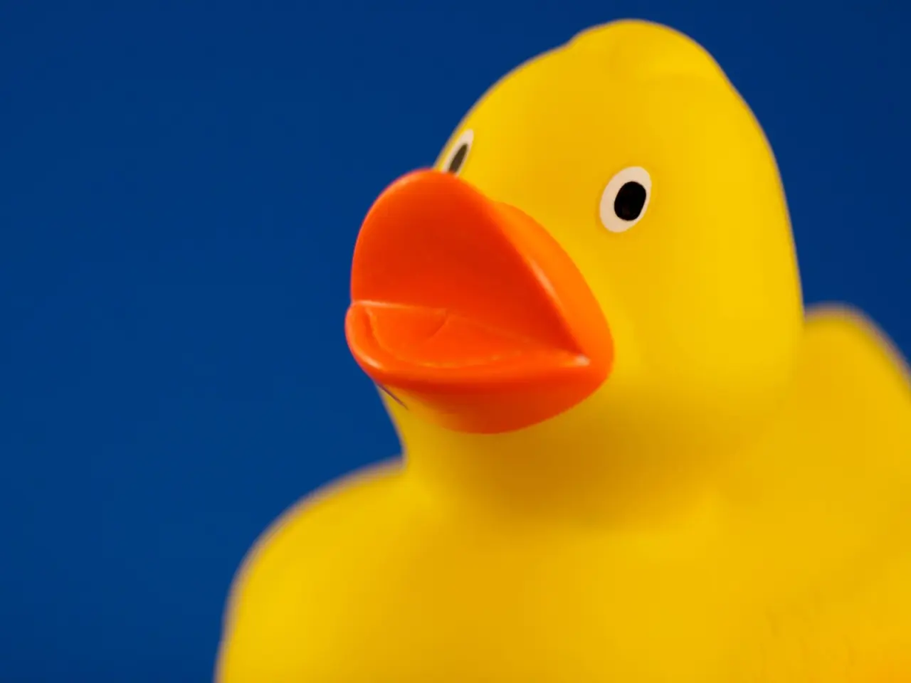 Bright Yellow Rubber Duck – yellow and purple desktop wallpaper, 1600×1200