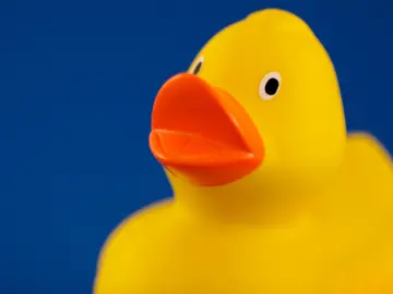 Bright Yellow Rubber Duck wallpaper