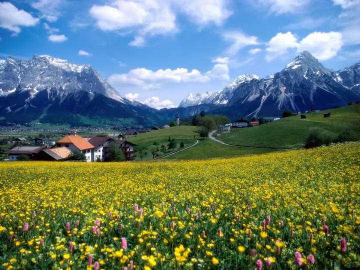 Alpine Meadow Spring Bloom as a phone lock screen