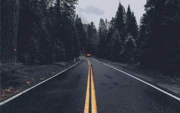 Road Through The Pines wallpaper