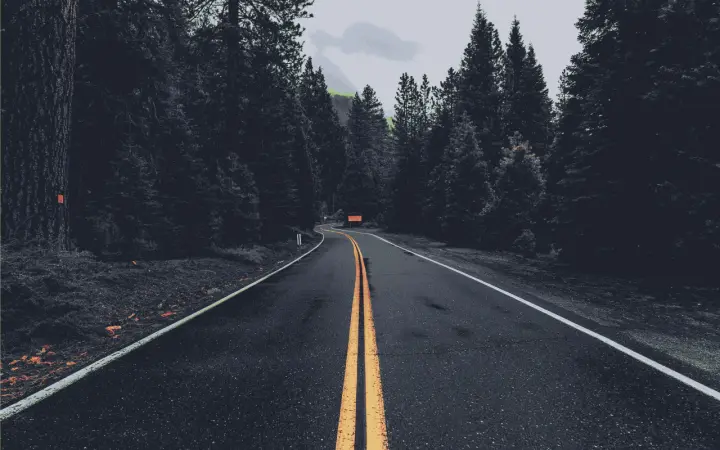 Road Through The Pines as a phone lock screen
