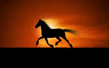 Gallop Into Golden Light wallpaper