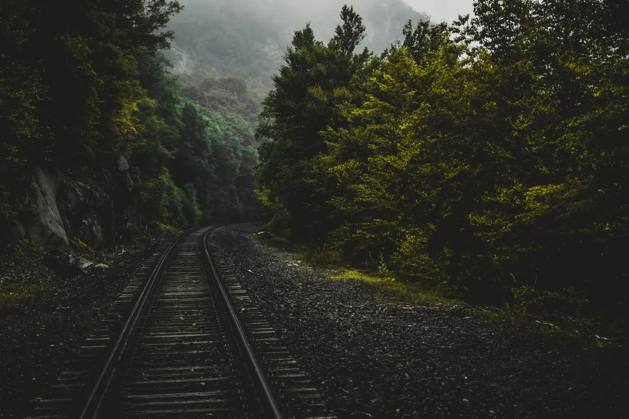 Railroad Through Misty Forest – black and grey desktop wallpaper, 6000×4000