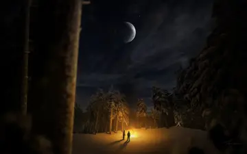 Winter Night Campfire wallpaper