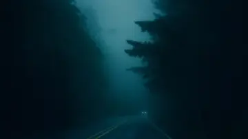 Through The Dark Fog wallpaper