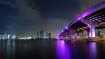 Neon Bridge At Night wallpaper