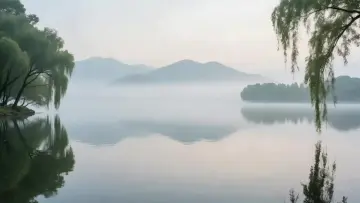 Mist Over Calm Lake live wallpaper